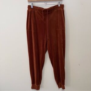 Jane and Delancey Women’s  Large Joggers Brown Velour Loungewear  Goblincore
